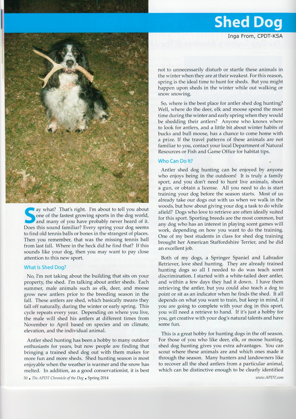 Shed Dog Positive Gun Dogs MN